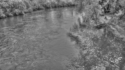 Cannon River
