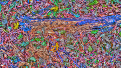 Vermillion River Trout Stream