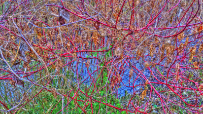 Vermillion River Trout Stream