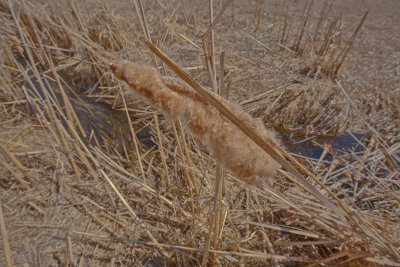 Minnesota River Valley National Wildlife Refuge