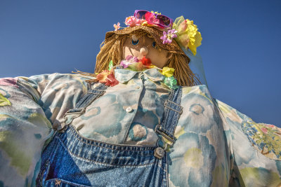 Emma Krumbee's Apple Orchard