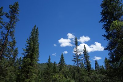 Berkeley Tuolumne Camp 2013