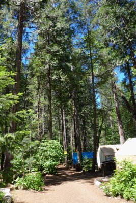 Tent cabins 