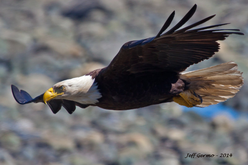 IMG_1511_edited-1.jpg