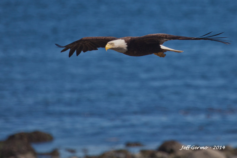 IMG_1506_edited-1.jpg