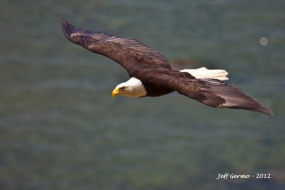 IMG_3494.jpg
