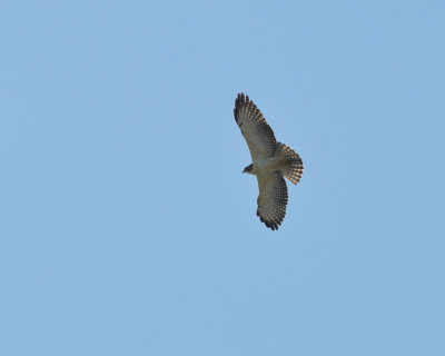 g9/13/816513/3/158902664.ryMvpQ4T.jpg