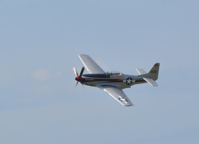 Mustang P-21