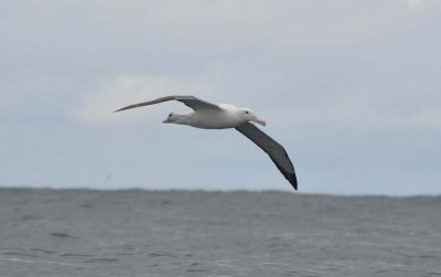g9/13/816513/3/162359902.gU7F4Ft4.jpg