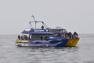 g9/13/816513/3/162387607.AVegKROP.jpg