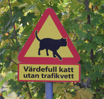Sweden.