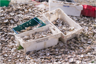 0287_Whitstable_Kent_2015_ - Copy.jpg