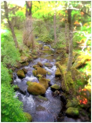 0033_The Peaks_2015_.jpg