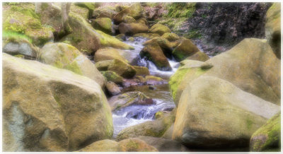 0042_The Peaks_2015_.jpg