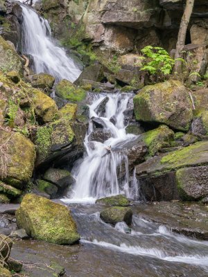 0062_The Peaks_2015_.jpg