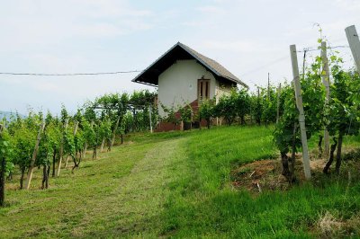 Bela krajina