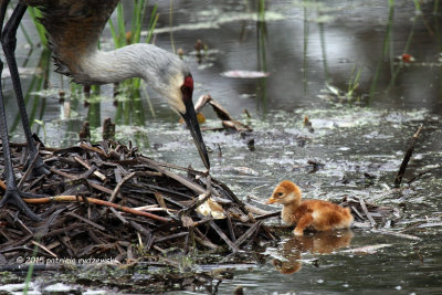 Mom and Baby oneIMG_5820.jpg