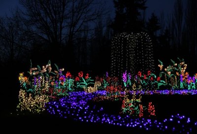 Garden of Lights