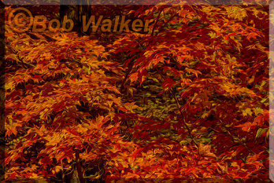 An Artistic Rendering Of Fall Foliage
