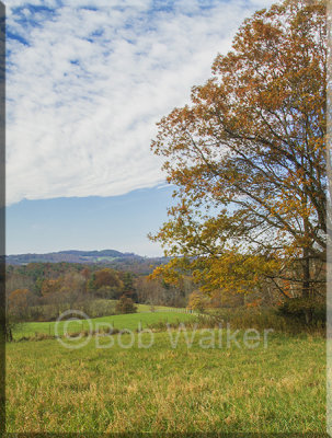Another Beautiful Scene Along The Parkway