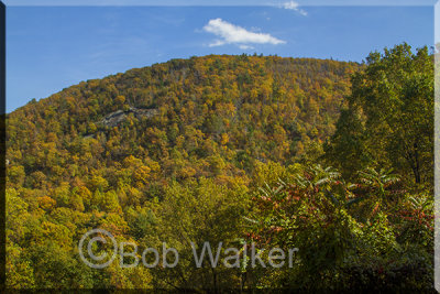 Great Fall Foliage Along The Parkway