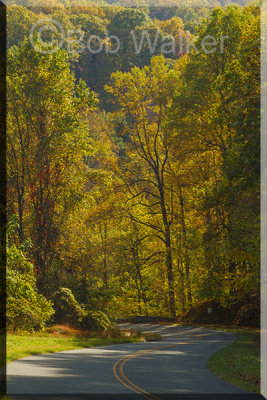 Winding Side Roads Abound