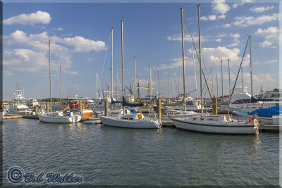 The Beaufort Marina 
