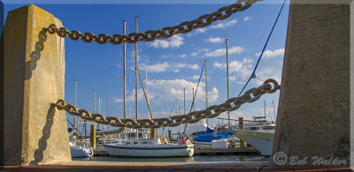 A Different View Of The Beaufort Marina 