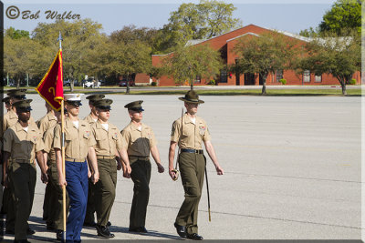 The Proud Graduating Marines Pass In Review 