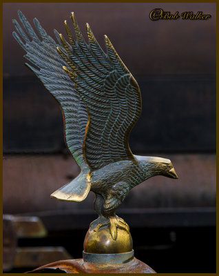 Eagle Hood Ornament You Say