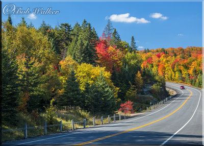 Scenic Highway In Algonquin Provincial Park