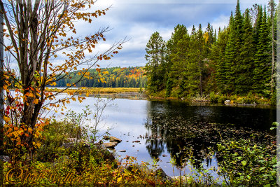 Outlet To Opeongo Lake