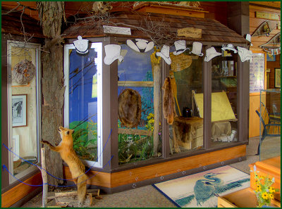 Just One Of The Few Display Areas Of The Nature Center