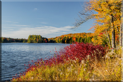 Fall In Adirondack Park At Mason Lake