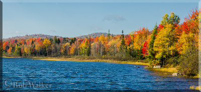Fall In Adirondack Park At Lewey Lake State Park