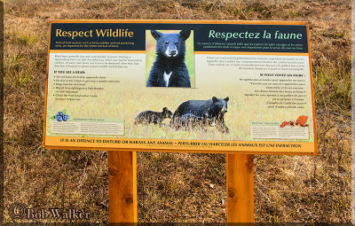 A Sign Warning Of Bears Who Frequent The Area Near Mew Lake Campground