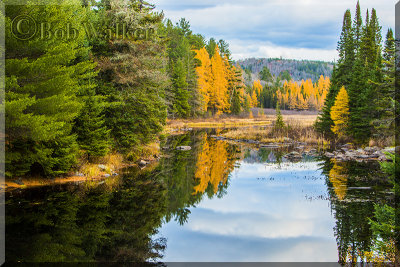 Reflections In The Narrows Of Costello Creek