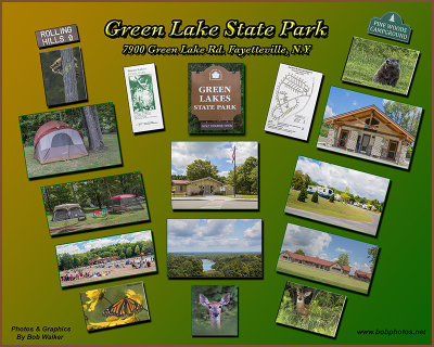 A Sampling Of Green Lake State Park 