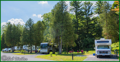 Campers In The Pines Woods Campground Section