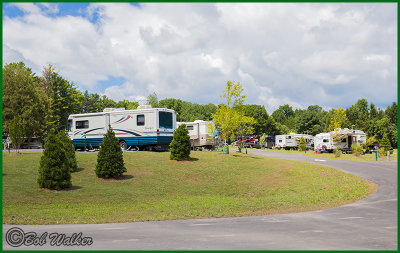 Another View Of The Pine Woods Section With Full Hookups