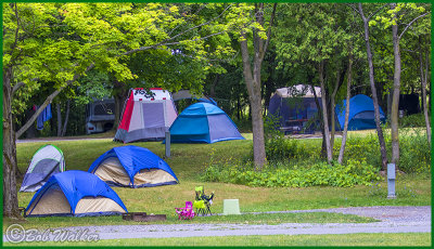 Tenting Campsite In The Older Un-Updated Part Of The Park 
