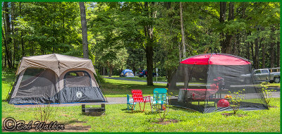 Tent Campsites In The New Pine Woods Section