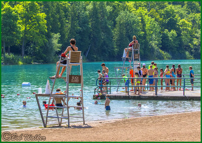 The Children Love The Diving Board