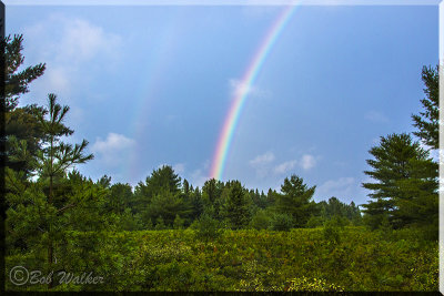 Rainbow Beauty