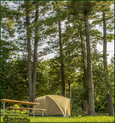 Tent Campsite Back Near The Woods