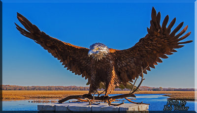 A Monument To The The Reintroduction Of The American Bald Eagles At Montezuma National Wildlife Refuge & Wetland Complex.