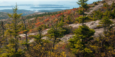 Cadilac Mountain view003.jpg