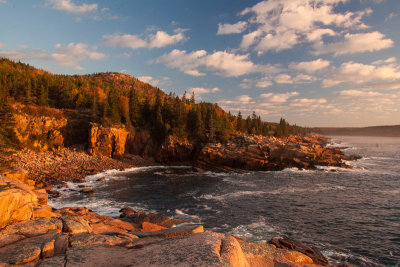 Otter Cliffs054.jpg