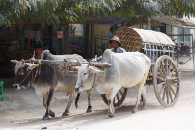 Mingun Transport-1-2.jpg