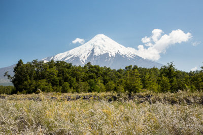 Patagonia